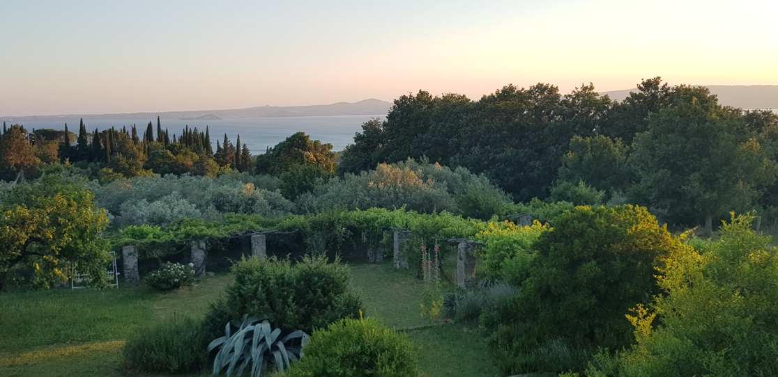 The view on Bolsena with trees and garden | © Florent Gravin for Camptocamp