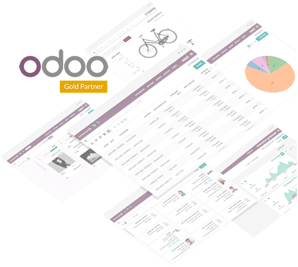 Odoo Gold Partner | © Odoo